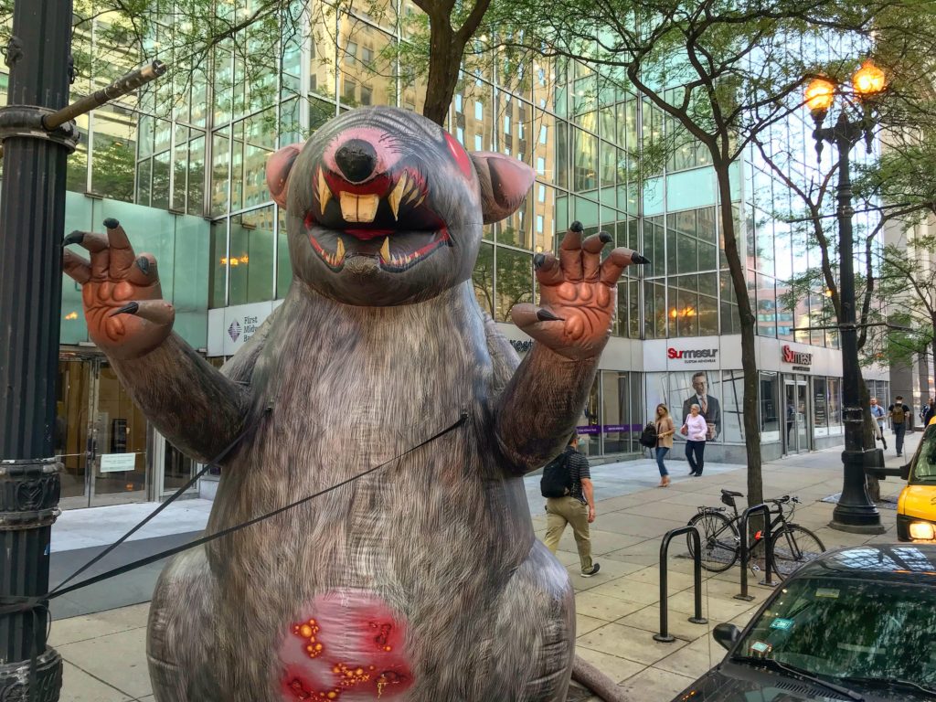 Why Is Scabby The Rat Scabby 