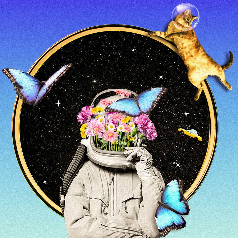 Earth to Kenzie artwork showing an astronaut, cat and butterflies