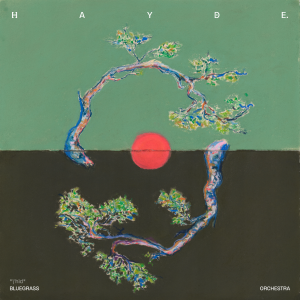 HAYDE. album cover featuring a circular branch and a red sun against a green background.